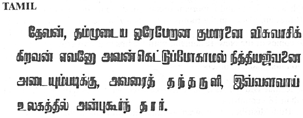 John 3:16 in Tamil